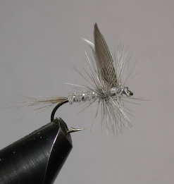 ���� ����� Dry fly Quill DFQ 18  